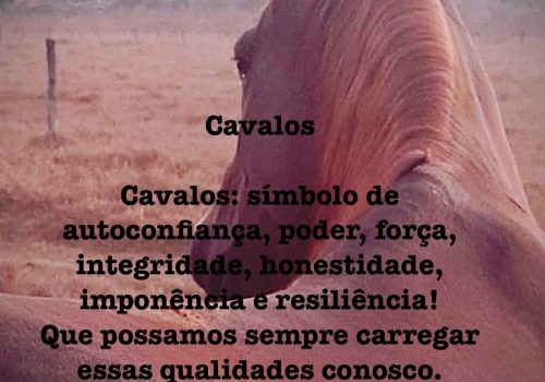 Cavalos